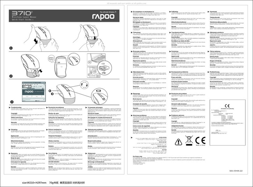 Rapoo 3710P User manual