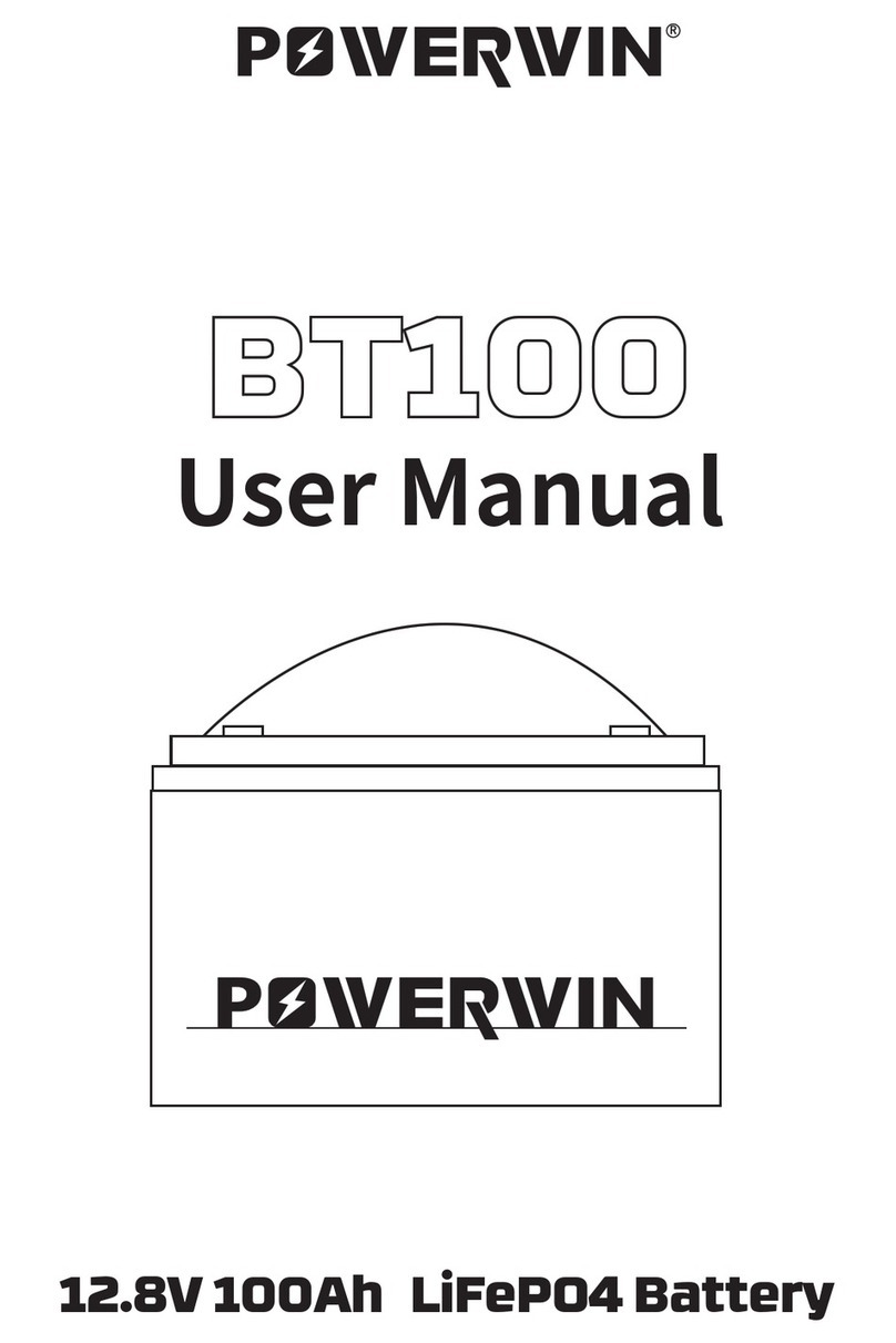 POWERWIN BT100 user manual
