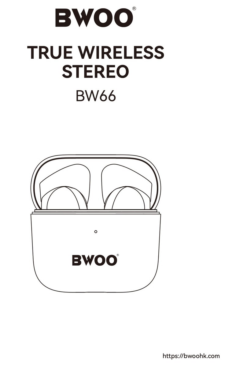 BWOO BW66 User manual