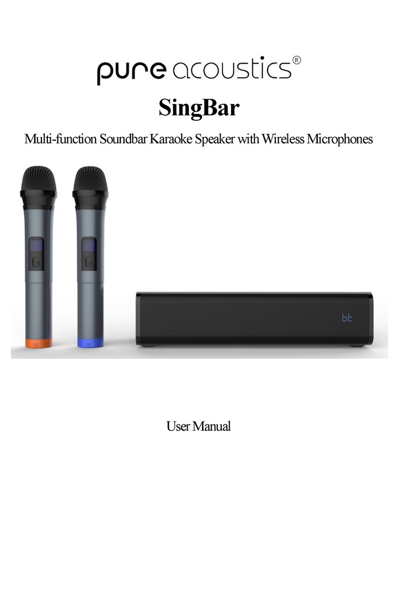 Pure Acoustics SingBar user manual