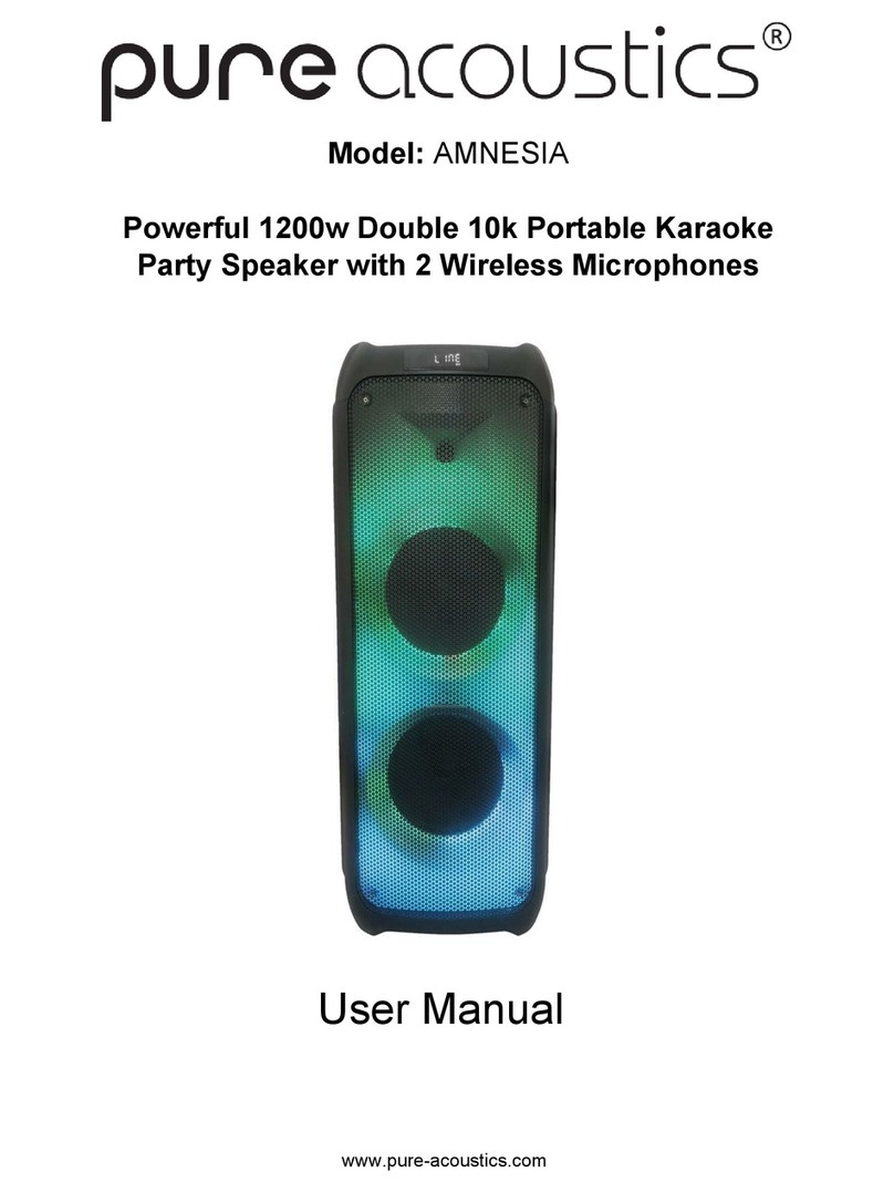 Pure Acoustics AMNESIA user manual