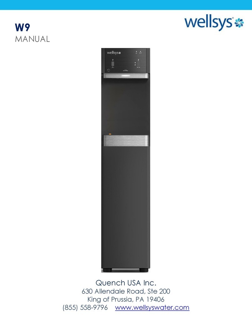 Wellsys W9 manual
