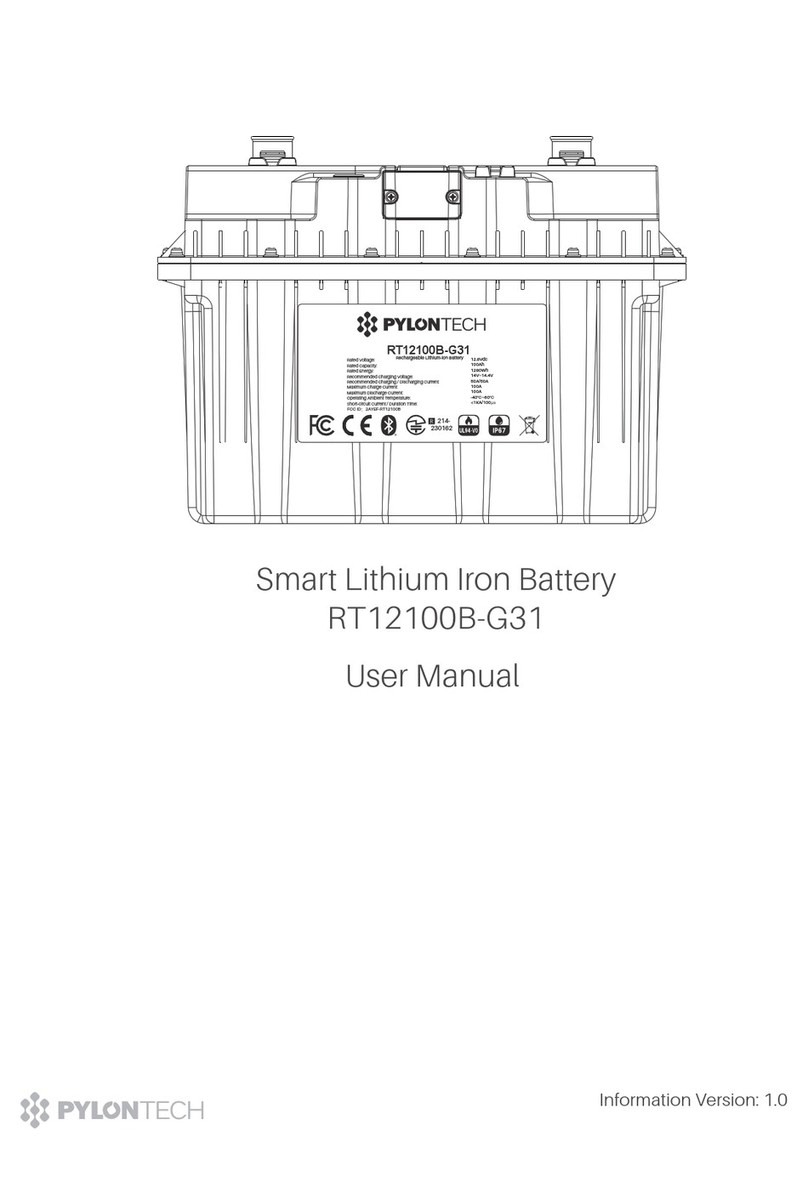 Pylontech RT12100B-G31 User manual