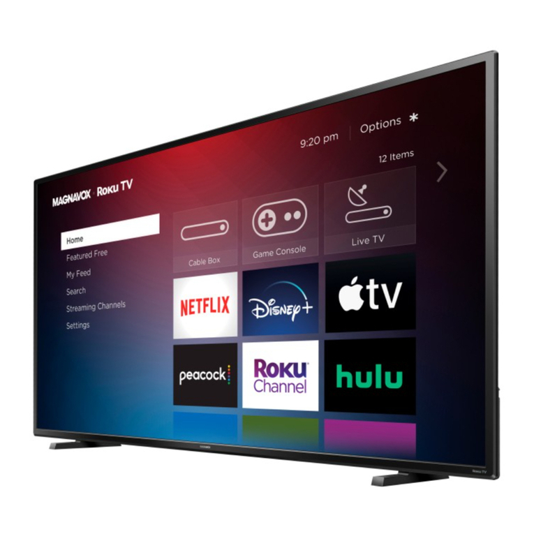 Magnavox 65MV379R User manual