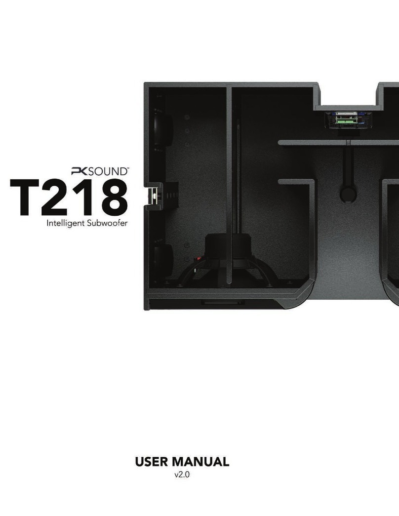 Pksound T218 user manual