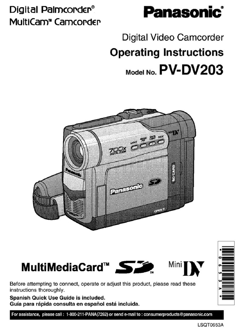 Panasonic Palmcorder MultiCam PV-DV203 User manual