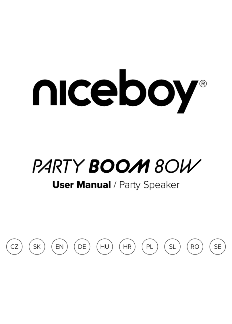 Niceboy PARTY BOOM 80W User manual
