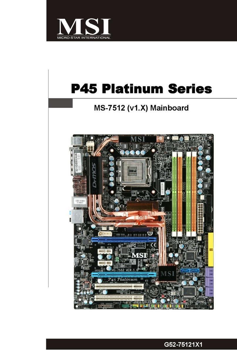 MSI P45 Platinum Series instruction manual