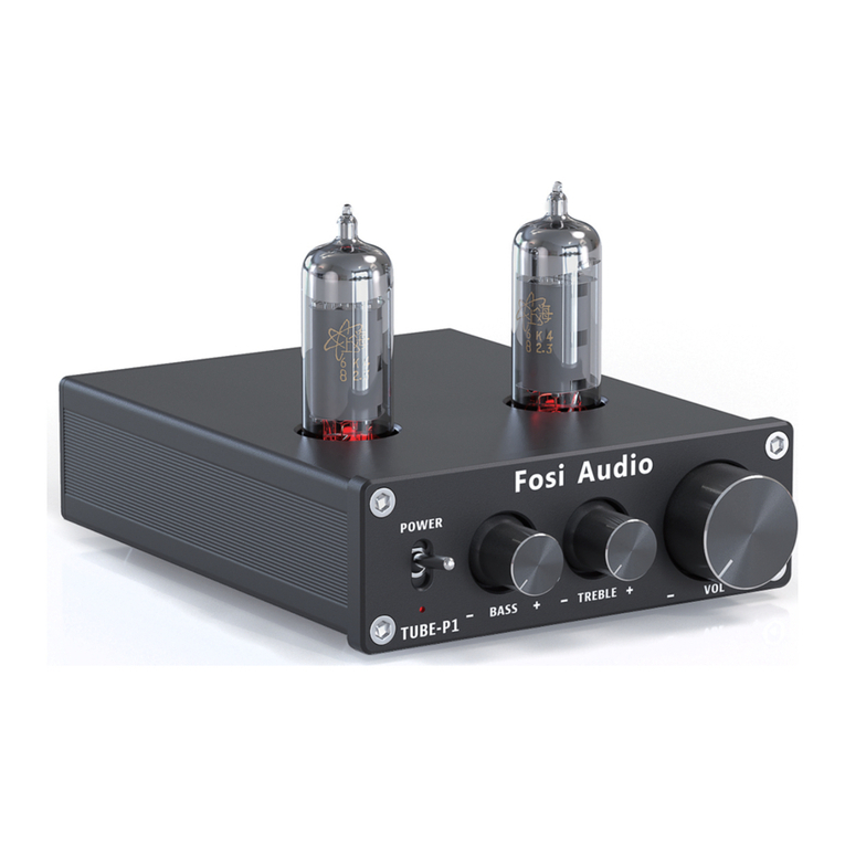 Fosi Audio P1 User manual