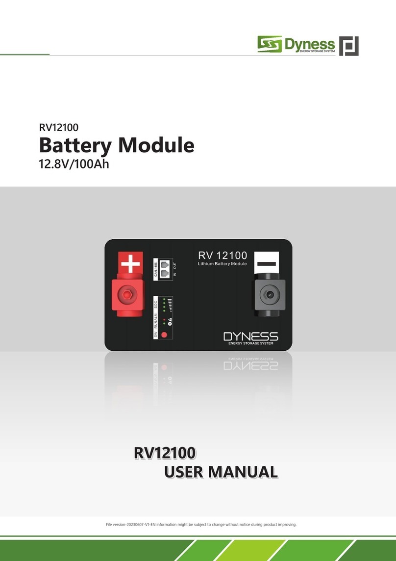Dyness RV12100 user manual