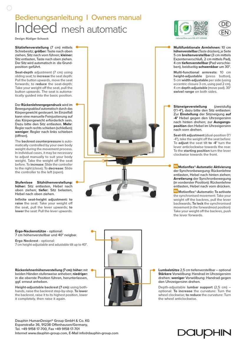 Dauphin Indeed mesh automatic User manual