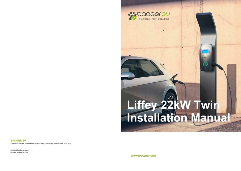 Badger Basket Liffey 22kW Twin installation manual