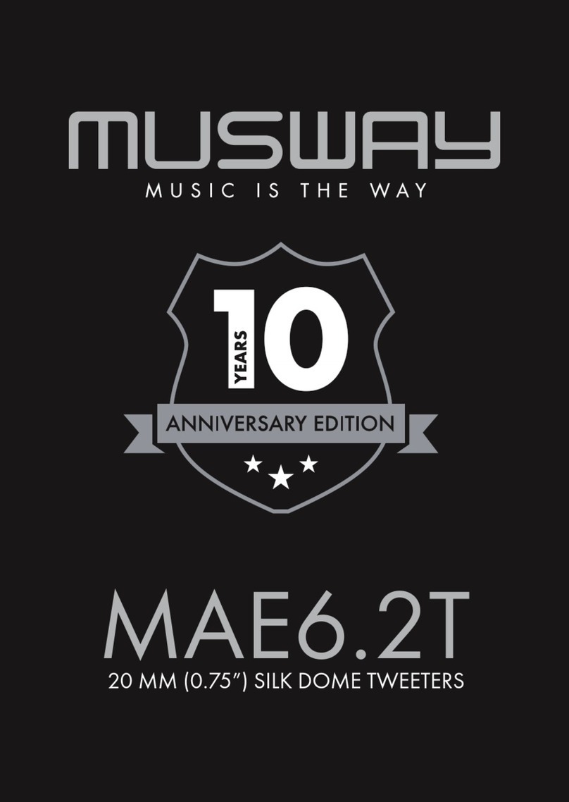 Musway MAE6.2T manual