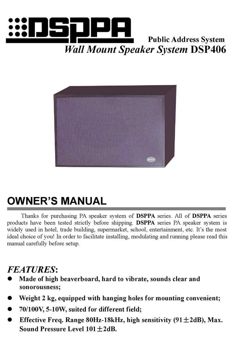 DSPPA DSP406 owner's manual