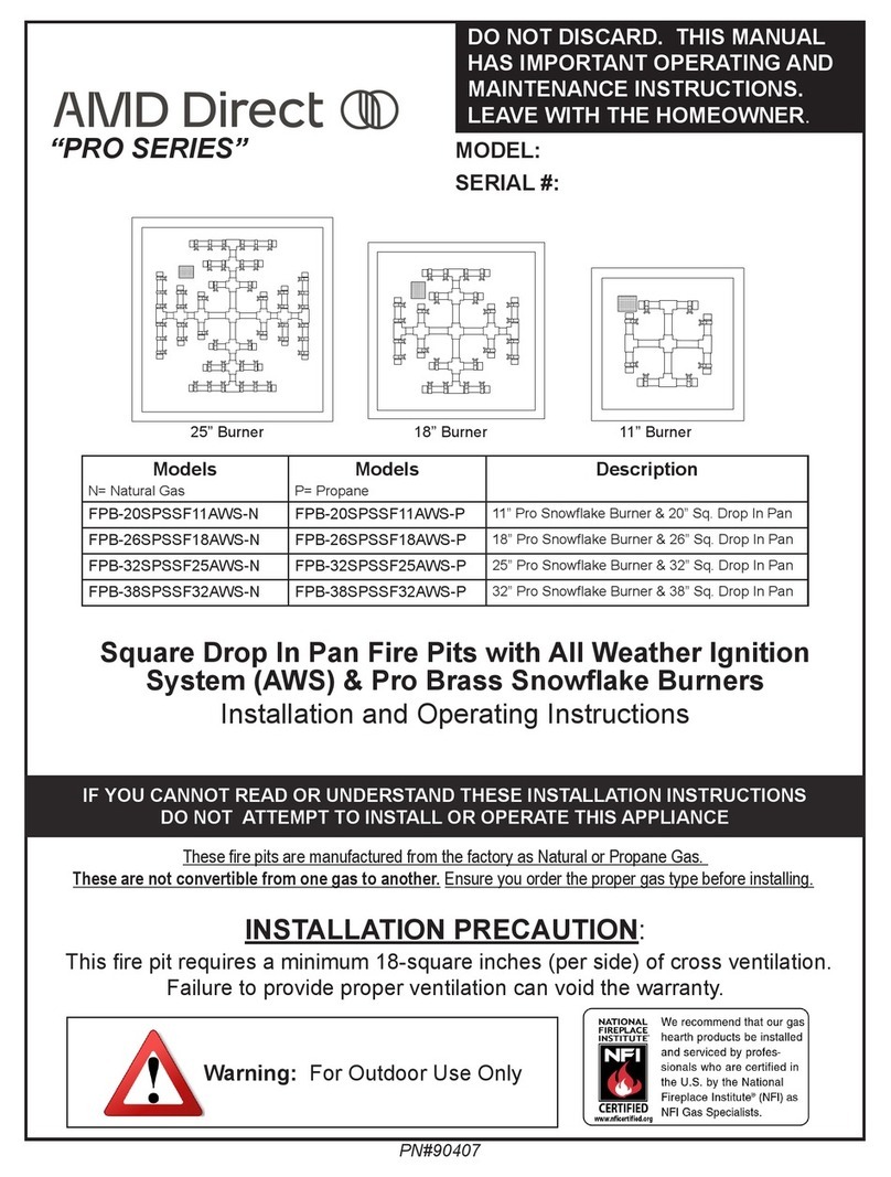 AMD DIrect Pro Series User manual