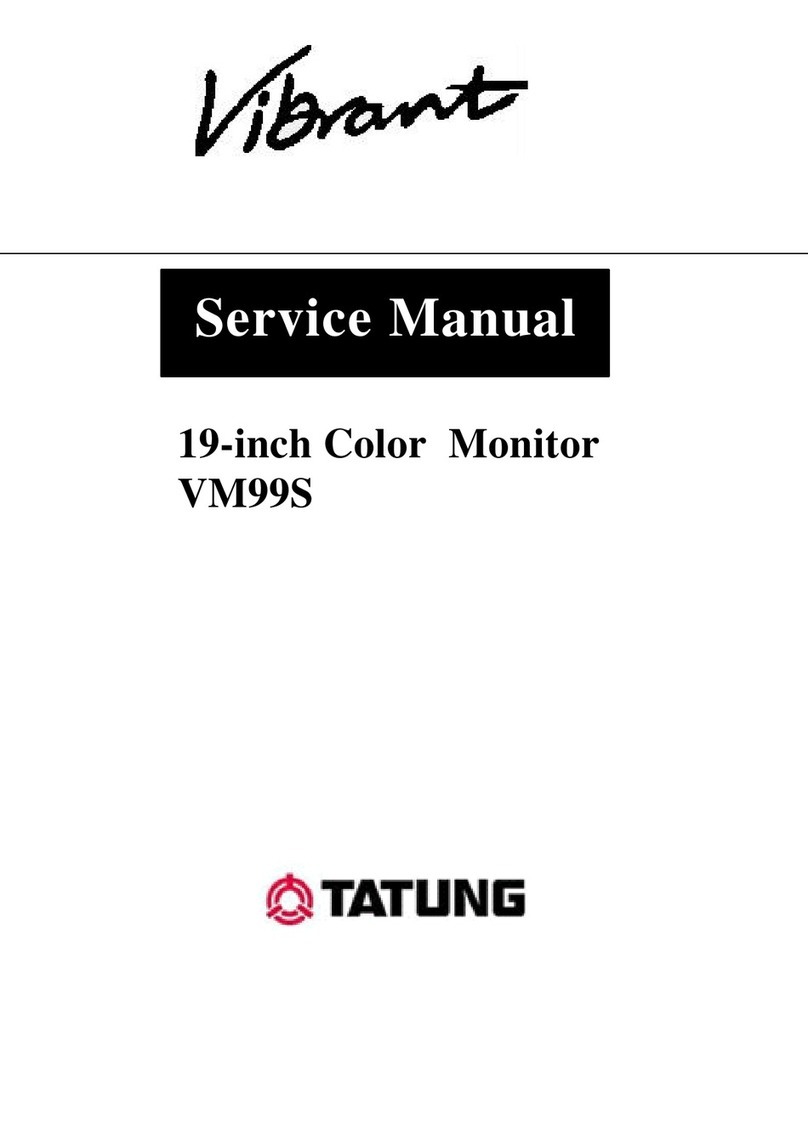 Tatung Vibrant VM99S User manual Tatung Vibrant VM99S User manual