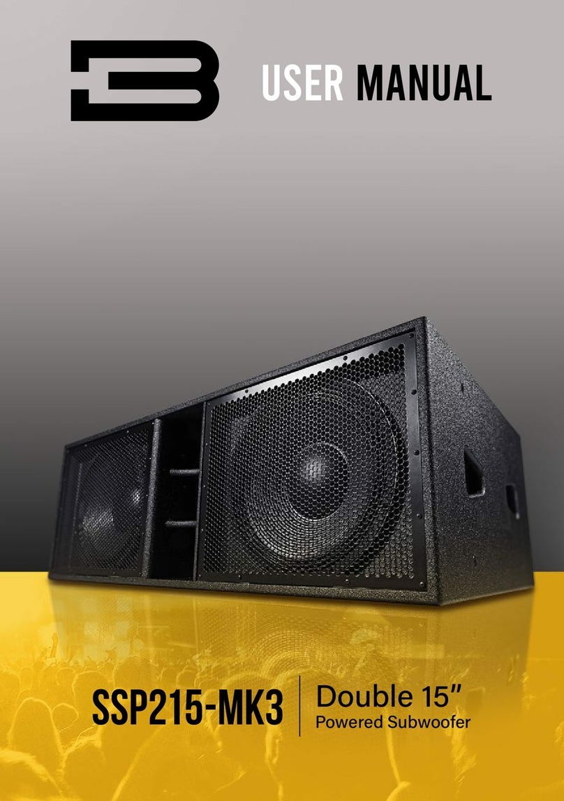 BassBoss SSP215-MK3 User manual