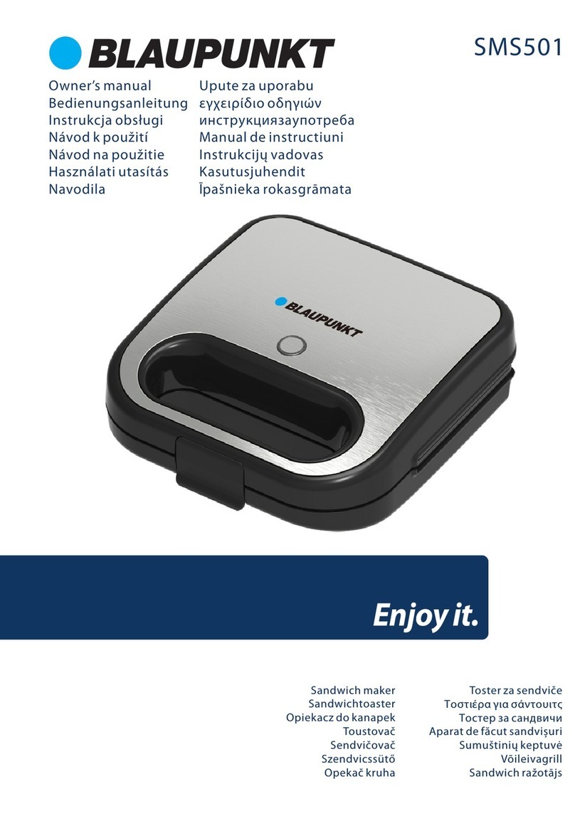 Blaupunkt SMS501 User manual