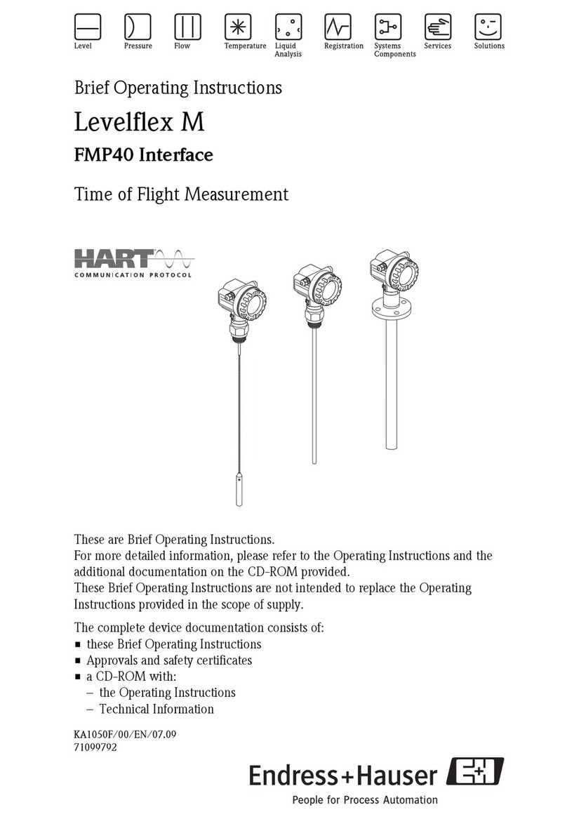Endress+Hauser Levelflex M FMP40 Technical specifications