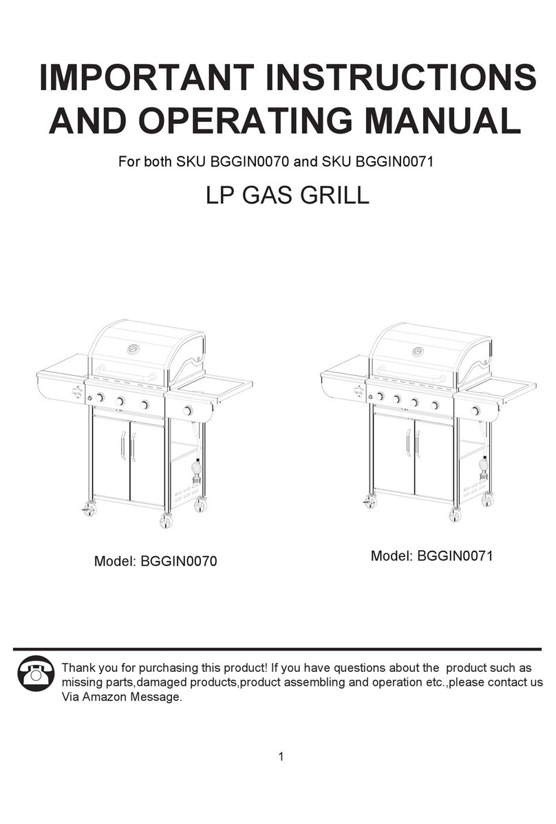 Honeywell BGGIN0070 Instructions and operating manual Honeywell BGGIN0070 Instructions and operating manual