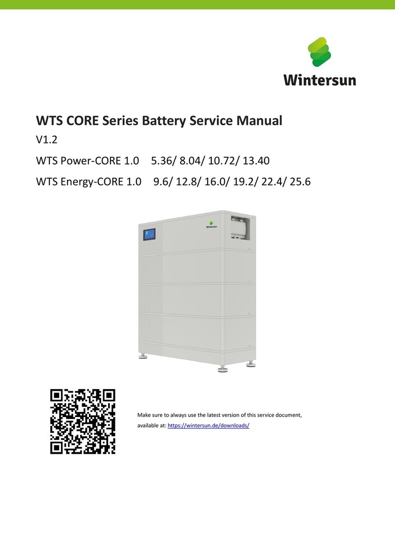 Wintersun WTS CORE Series Service manual