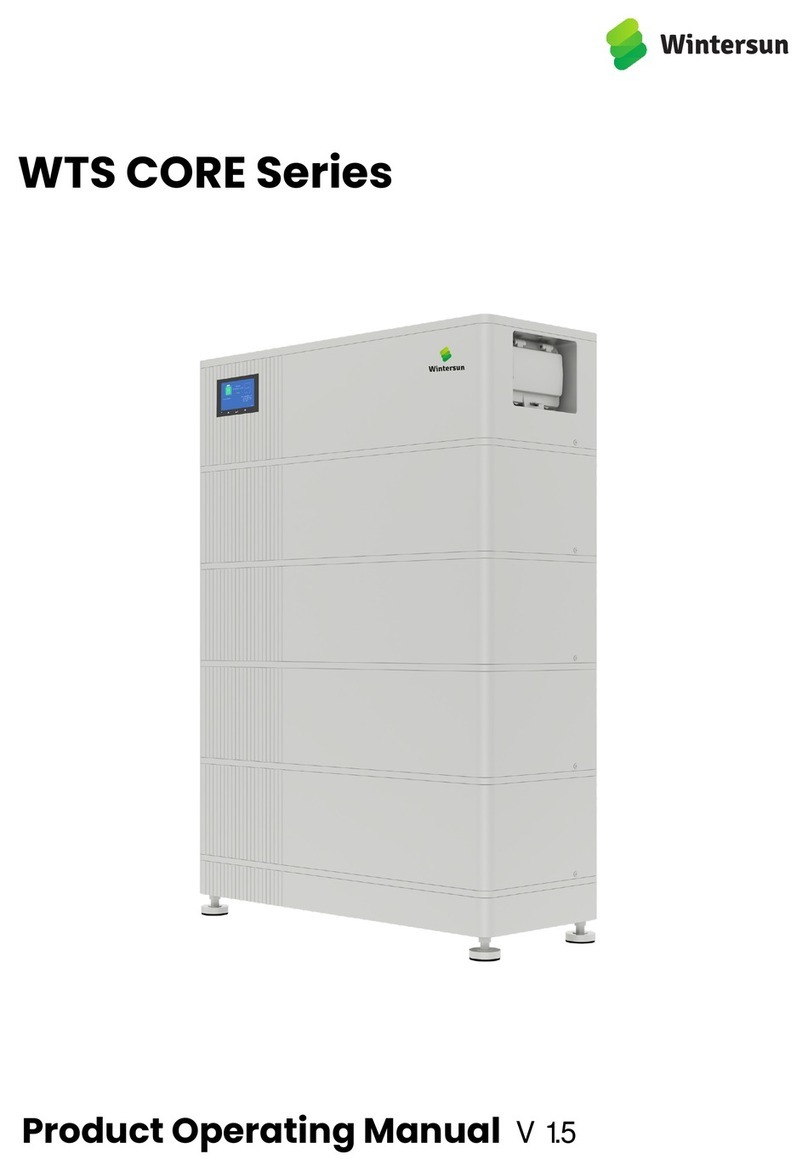 Wintersun WTS CORE Series User manual