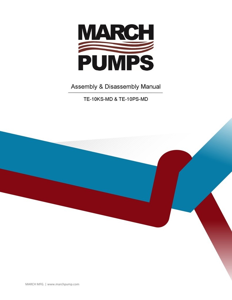 March Pumps TE-10KS-MD Assembly/disassembly manual