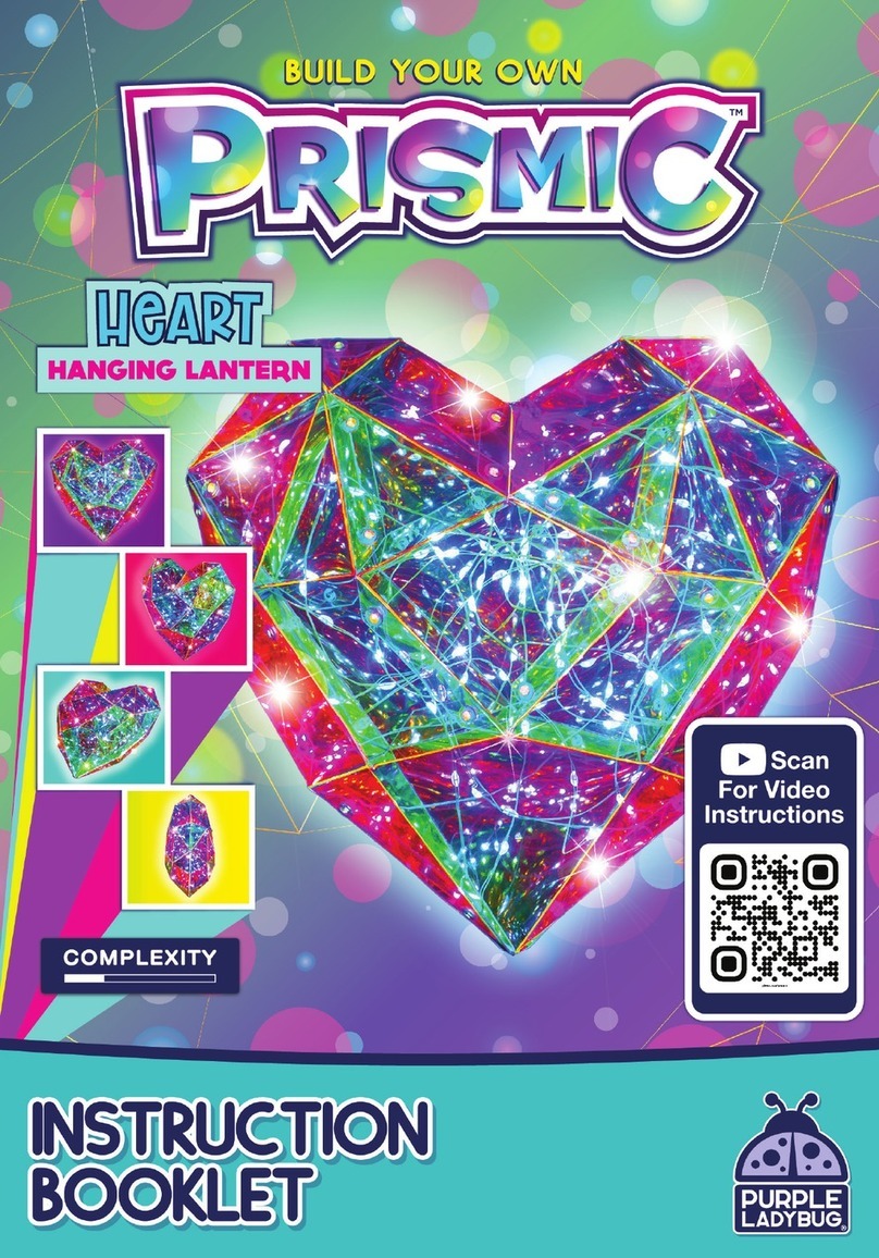 Purple Ladybug PRISMIC Hanging Heart Instruction booklet