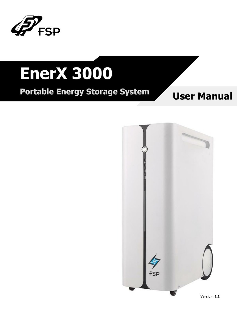 FSP Technology EnerX 3000 user manual