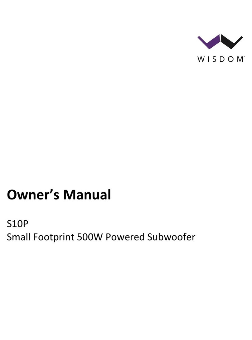 Wisdom S10P owner's manual