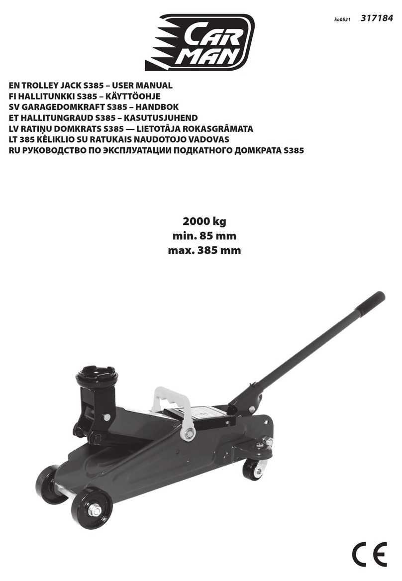 Carman S385 user manual