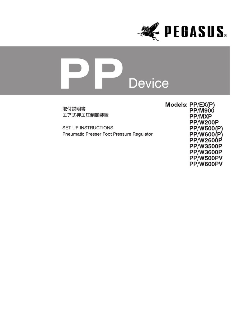 Pegasus PP/EX(P) Setup instructions