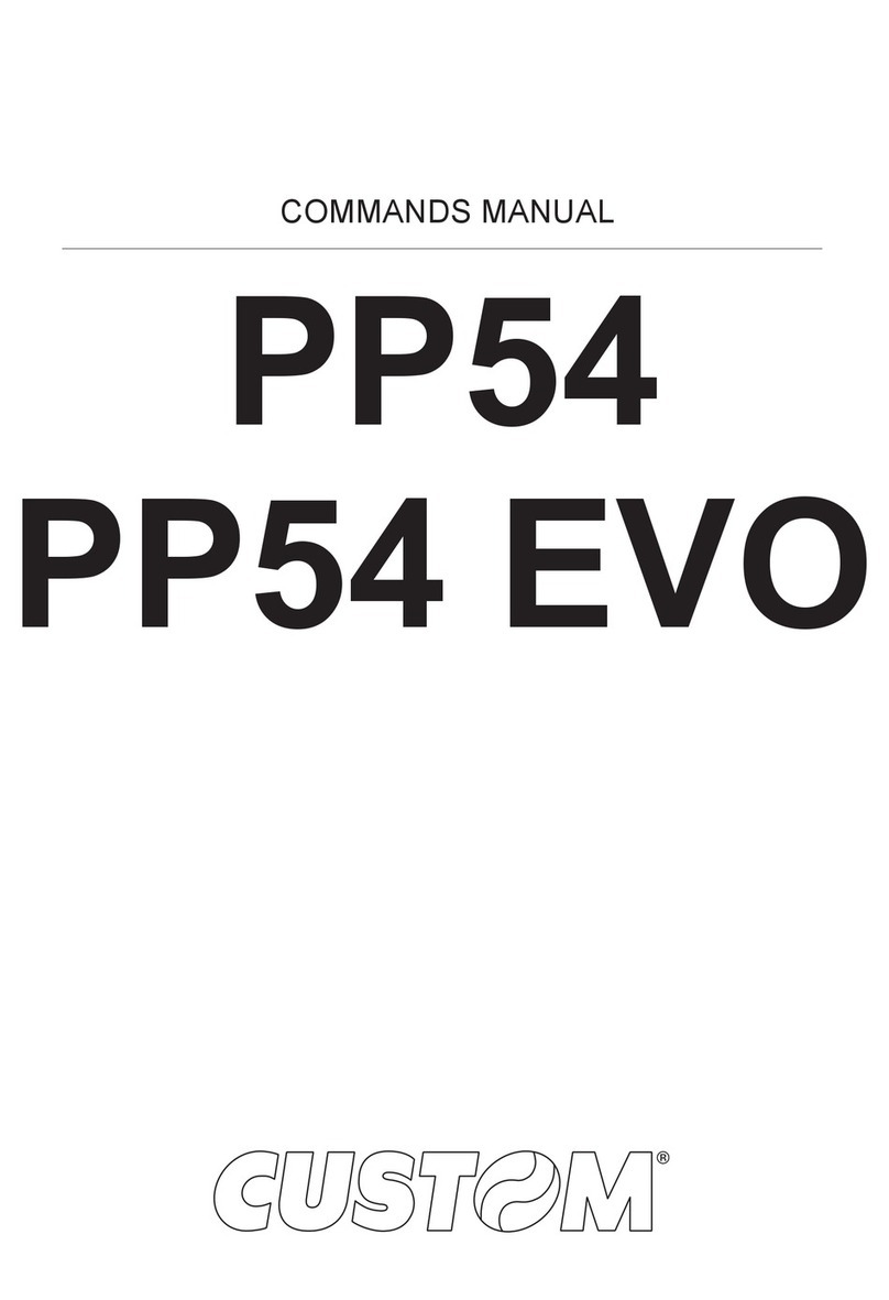 Custom Audio Electronics PP54 Installation instructions