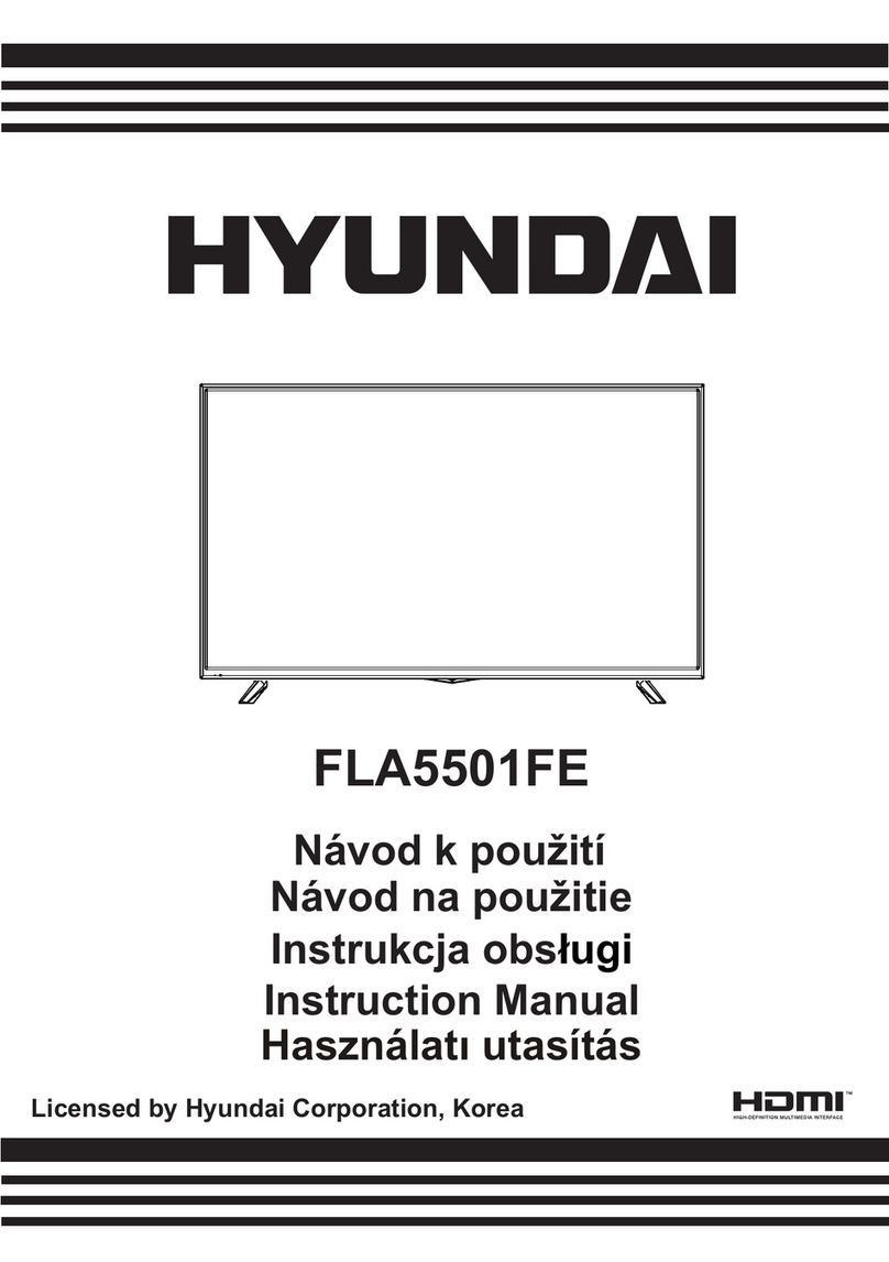 Hyundai FLA5501FE User manual Hyundai FLA5501FE User manual