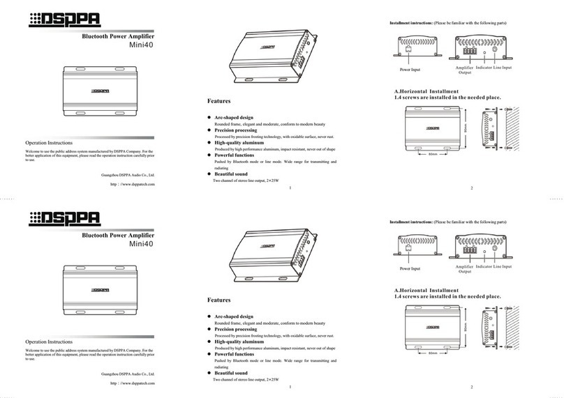 DSPPA Mini40 User manual