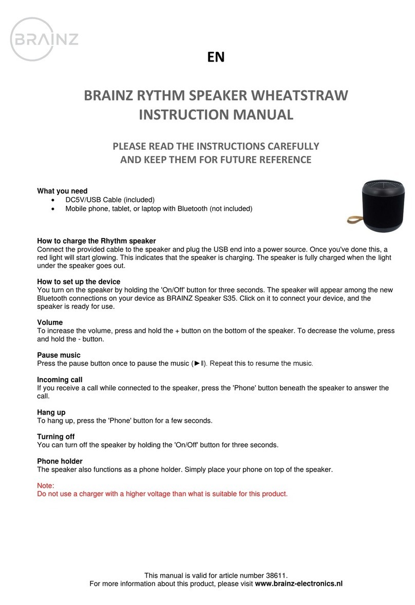 Brainz 38611 instruction manual