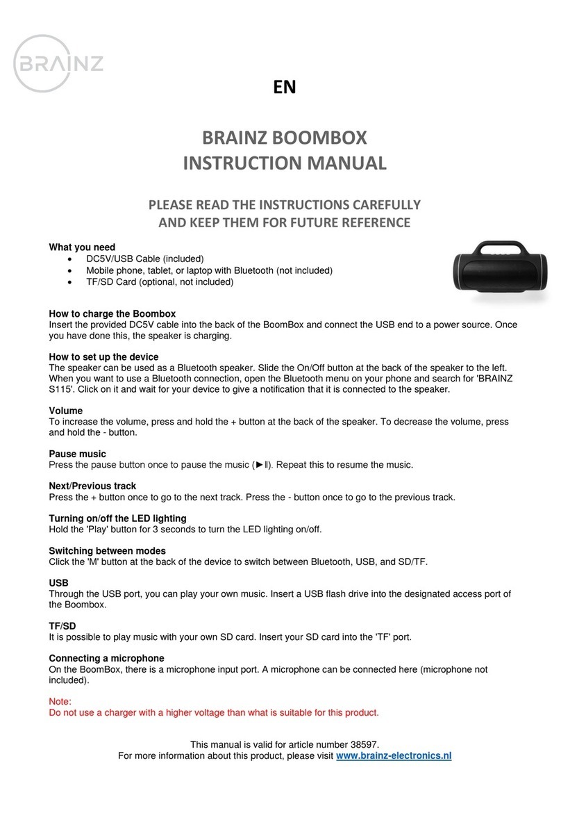 Brainz 38597 instruction manual Brainz 38597 instruction manual