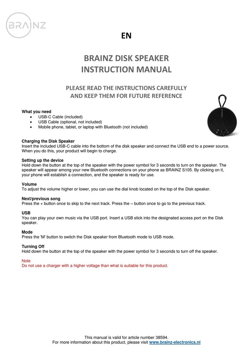 Brainz 38594 instruction manual