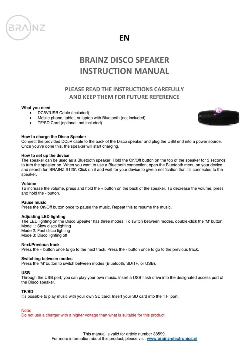 Brainz 38599 instruction manual