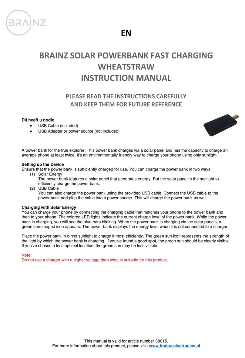 Brainz 38615 instruction manual