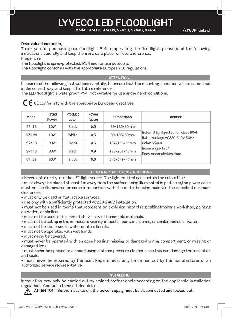 LyvEco 9741B User manual