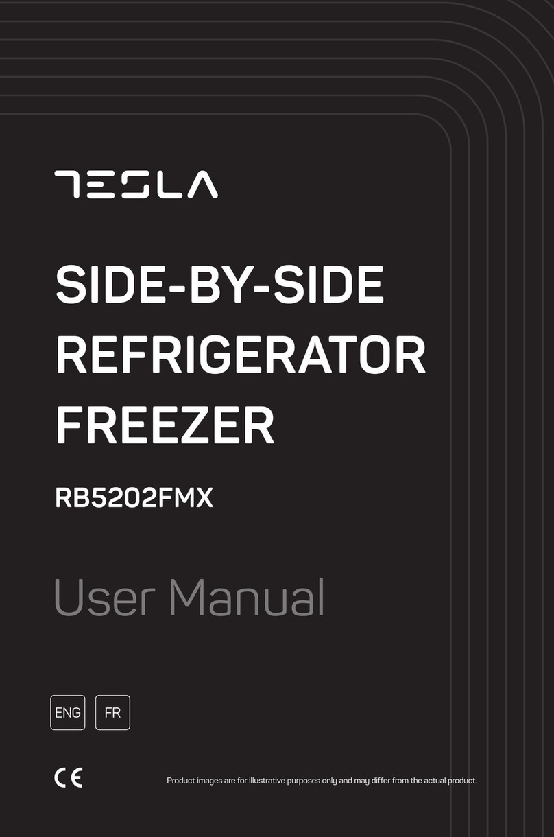Tesla RB5202FMX user manual