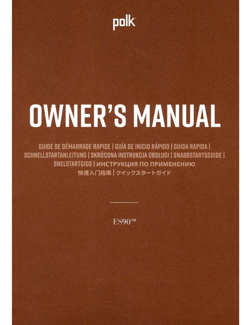 Polk Mono ES90 User manual