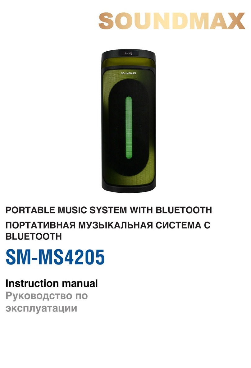 SoundMax SM-MS4205 instruction manual