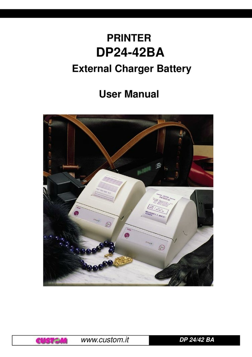 Custom Audio Electronics DP24-42BA User manual