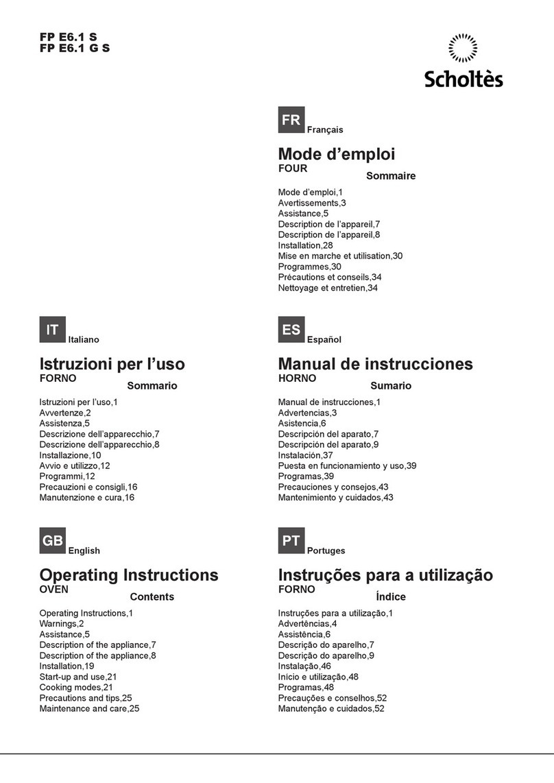 SCHOLTES FP E6.1 S User manual