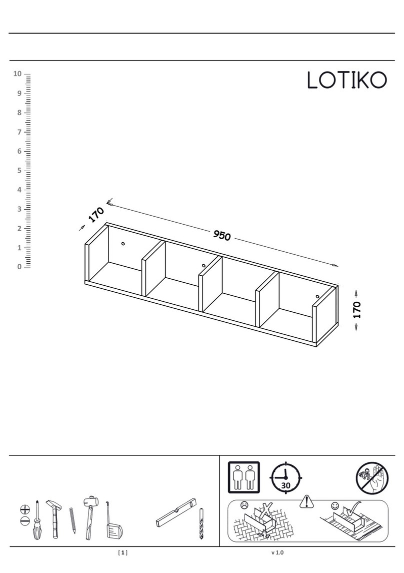Videnov LOTIKO User manual