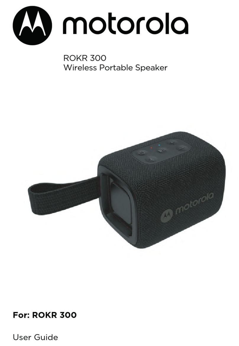 Motorola ROKR 300 User manual