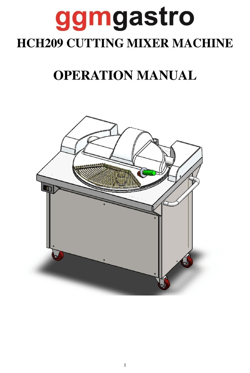 GGM gastro HCH209 User manual