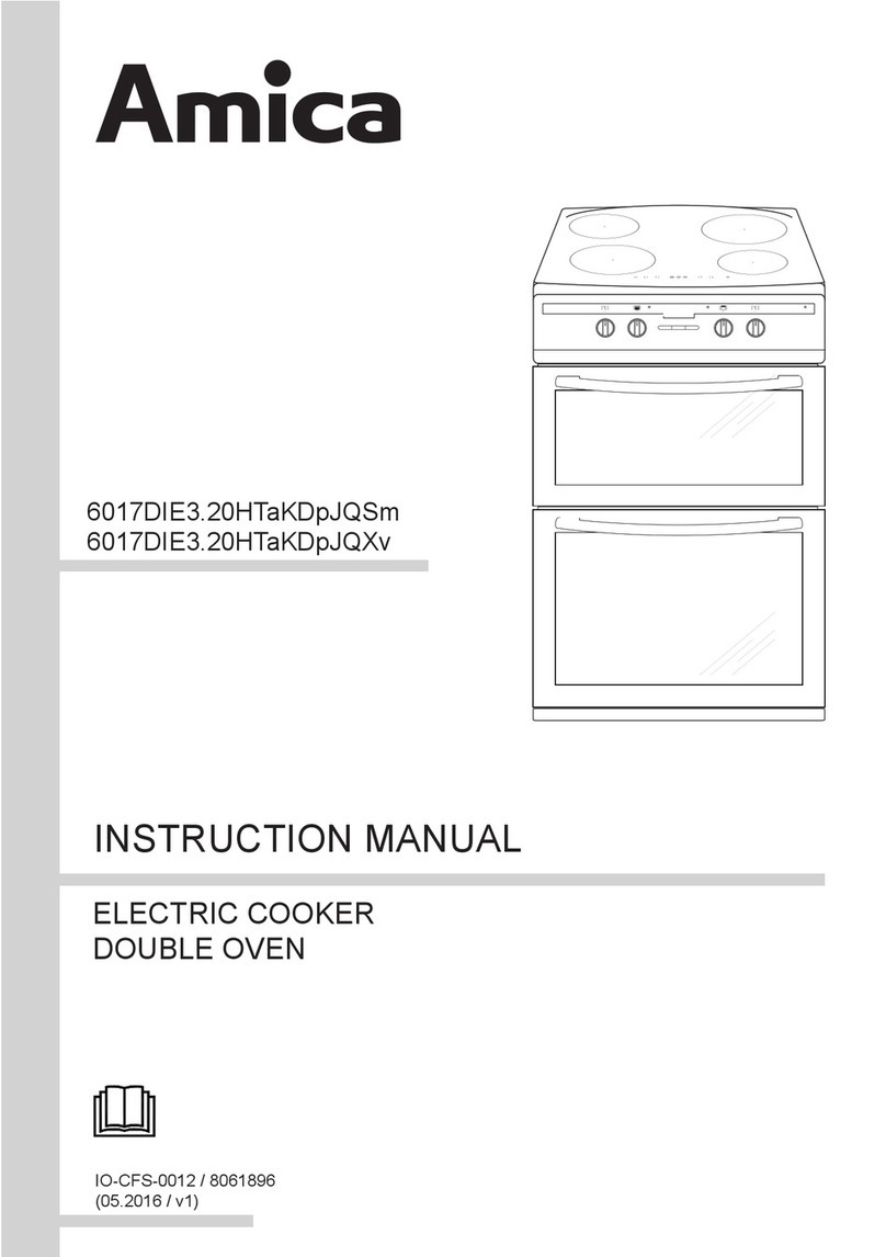 Amica 6017DIE3.20HTaKDpJQXv User manual